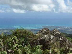 View from El Yunque National Rainforest in Puerto Rico