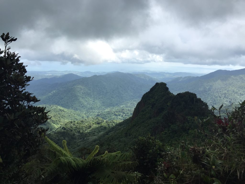 El Yunque National Forest View